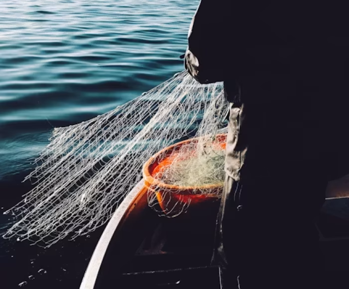 Imprese della pesca e dell'acquacoltura